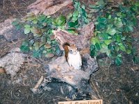 photos 2000-200901319